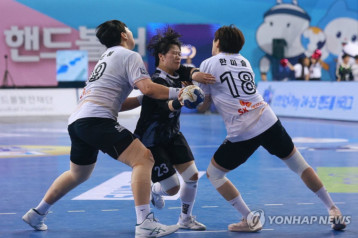 핸드볼 H리그 경기 모습. 