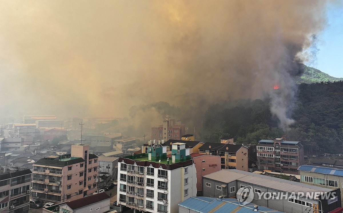 大邱の山火事　住宅街に迫る