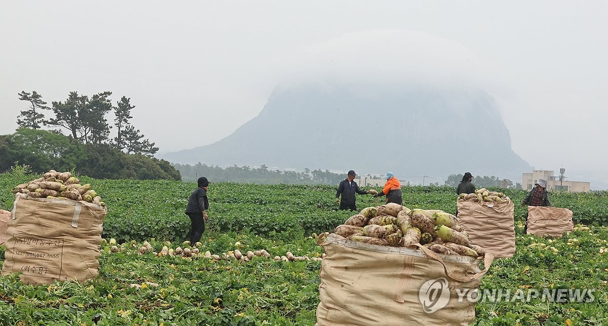 농식품부, 장마 앞두고 농업시설 현장점검