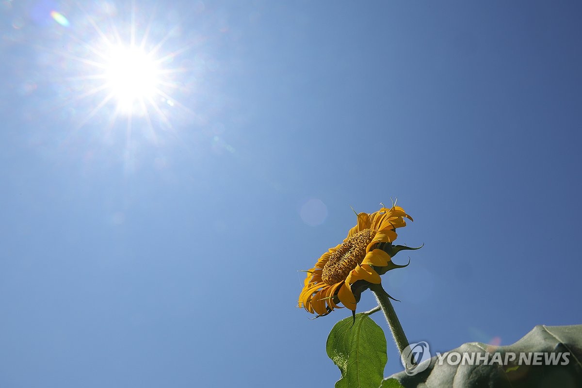 전북 낮 기온 31∼34도…미세먼지 '좋음'