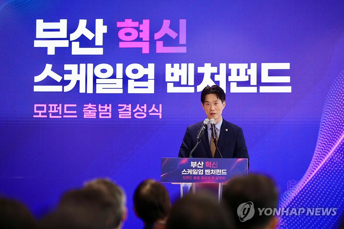 자료화면