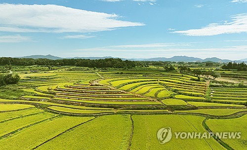 稀覯本　日韓外交史料　 9 韓国王露館播遷韓国永世中立化運動 PYH2023052214520088200_P2.jpg