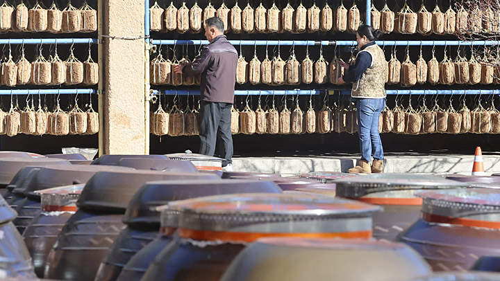 메주가 주렁주렁…강릉 대관령 기슭 농가